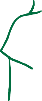 Polygon