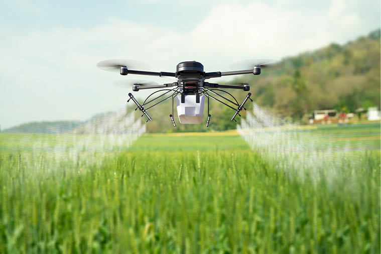 Drone spraying pesticide on wheat field. 3D illustration